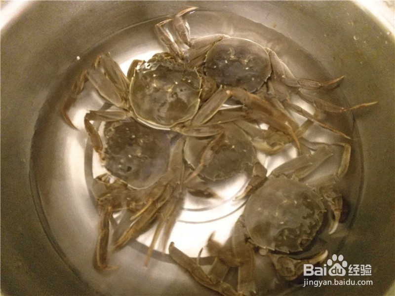 大闸蟹怎么煮简单又鲜美