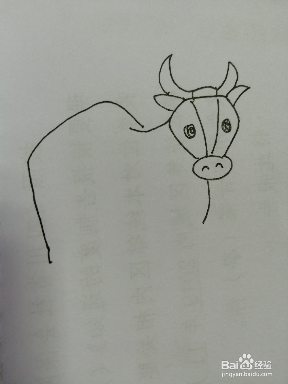 简笔画水牛怎么画