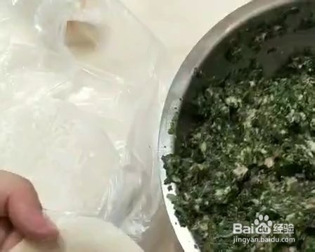 不好吃你打我的千里香荠菜猪肉大馄饨