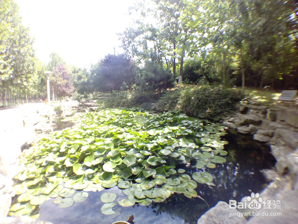 细细游青岛之太平角公园