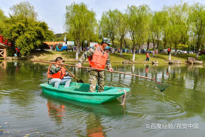 龙山八面山自驾游攻略