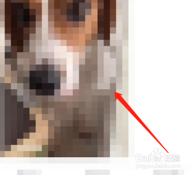 微博怎么关闭动态视频封面