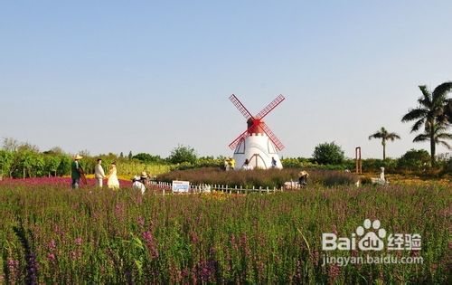 五一出境旅游指南