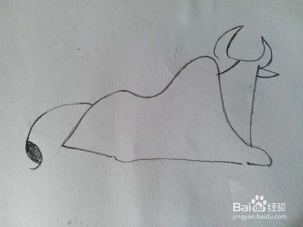 奶牛的简笔画法（三）