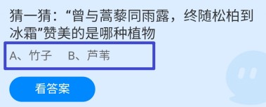 “终随松柏到冰霜”赞美的是哪种植物蚂蚁庄园