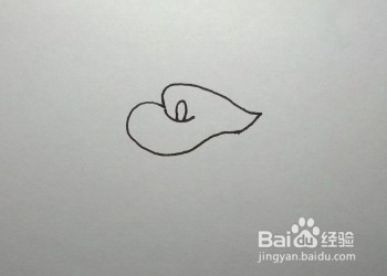 马蹄莲的简笔画（儿童简笔画教程）