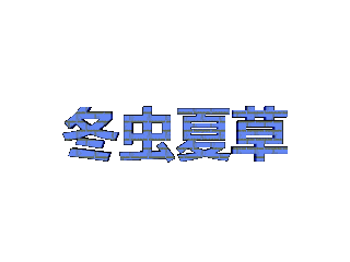 ulead cool 3d中给文字添加蓝色纹理和光晕效果