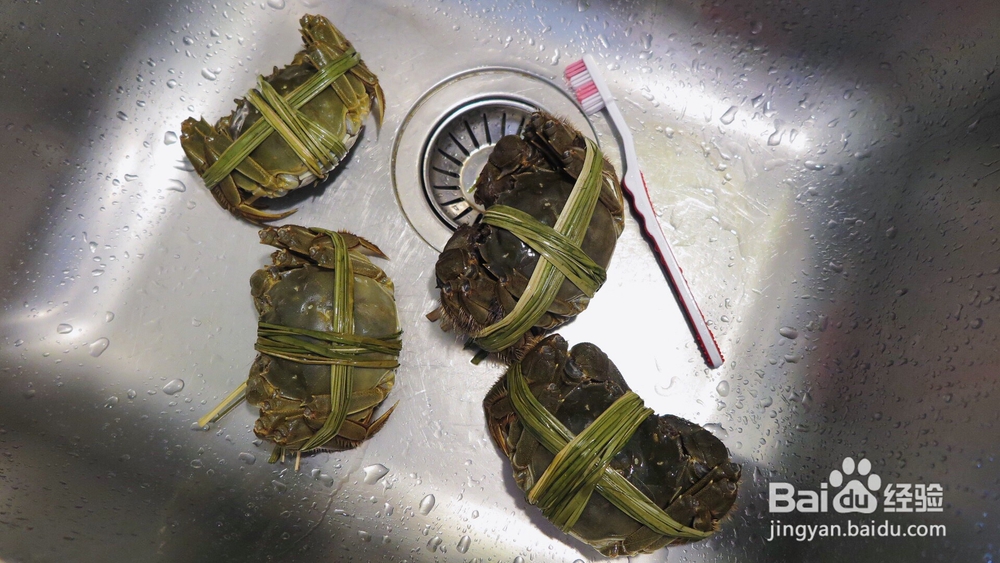 美味的罗勒烤大闸蟹