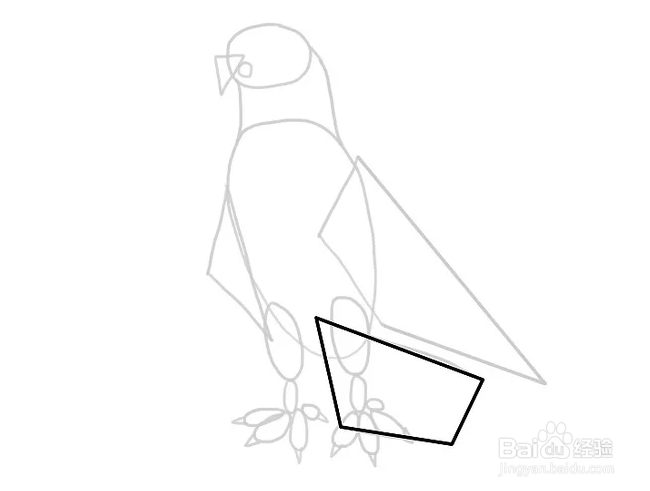 如何画一只卡通老鹰