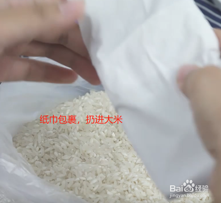 手机进水怎么处理？