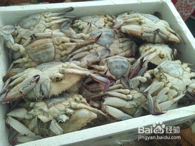 秋蟹食法有讲究