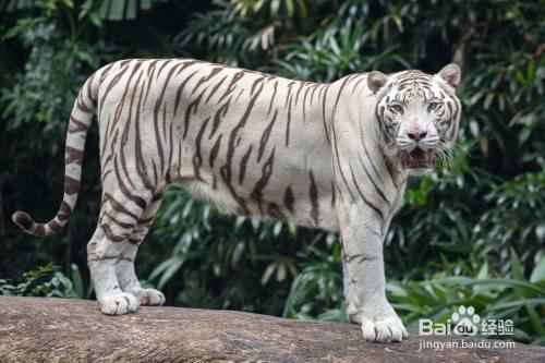 怎么把图片的内存变小