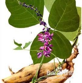 重庆到张家界旅游线路