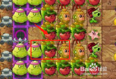 植物大战僵尸植物僵尸2怎么打?