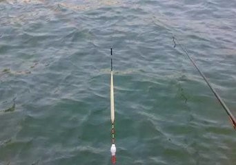 钓鱼怎么调漂和看漂相？