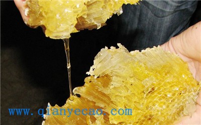 蜂胶的作用有哪些