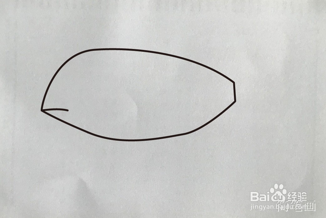 【简笔画】利鱼的画法