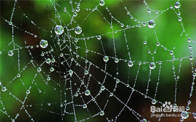 浅谈语文教学目标与方法