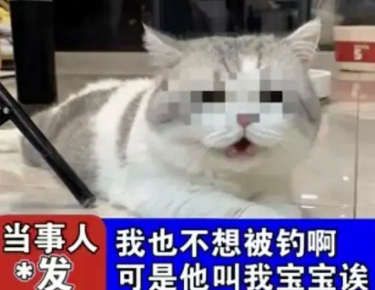 可是他叫我宝宝诶是什么梗