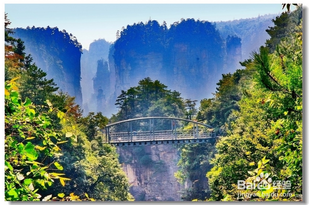 舟山到张家界自驾游