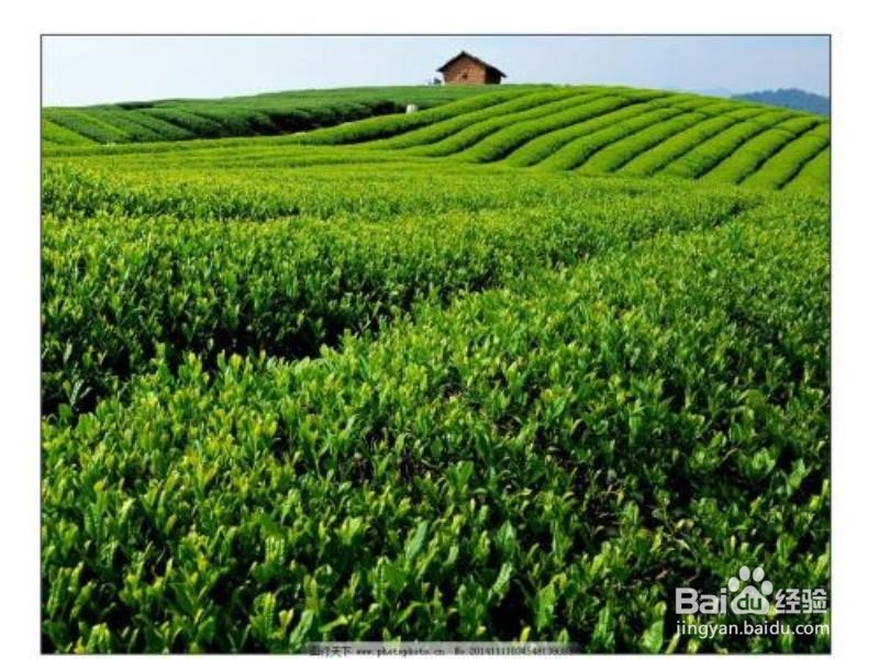 怎么快速去除冰箱中的异味