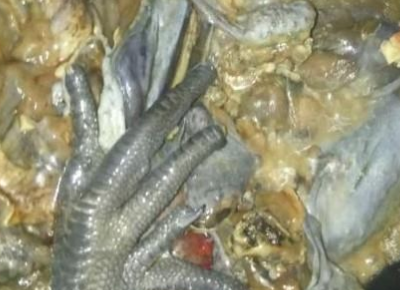 乌鸡和什么食物相克 哪些是乌鸡的做法