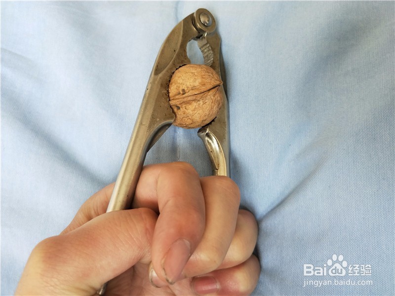 核桃钳子如何轻松快速的打开核桃