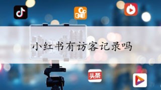 小红书有没有访客记录