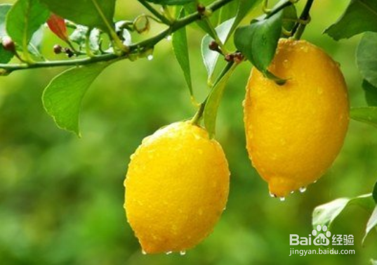 牙痛是怎么引起的?如何快速治疗并缓解疼痛?