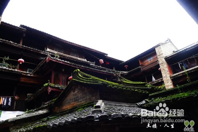 66@365【洪坑】土楼精华一日游