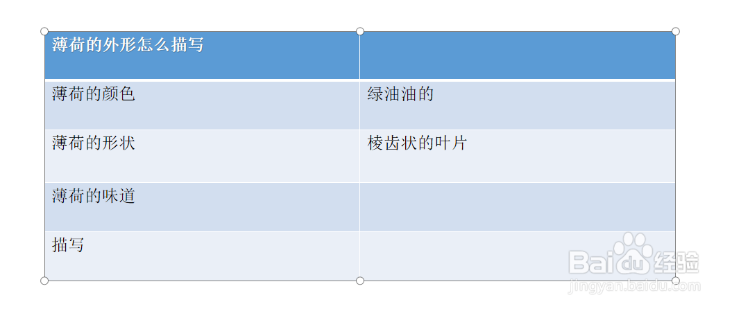 薄荷的外形怎么描写