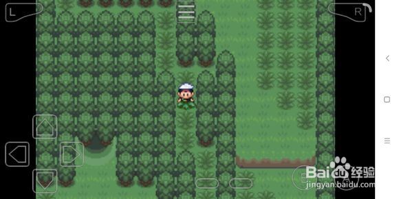 究极绿宝石究极之洞怎么进