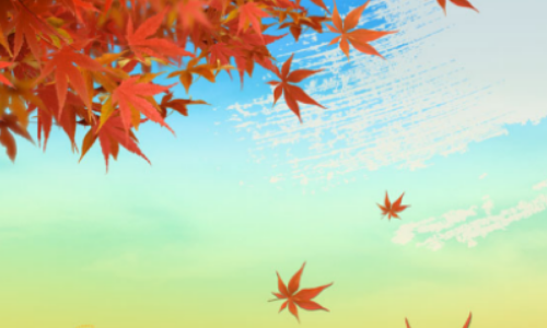 “一边绿一边红,绿的怕水,红的怕虫”,这个谜语打了一个什么字