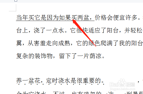 word里面怎么加横线