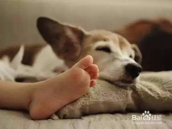 你为什么睵睡越累?