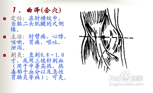 中医经络知识之手厥阴心包经图解