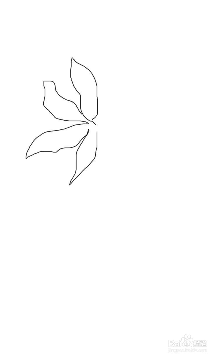 简笔画教程之花束