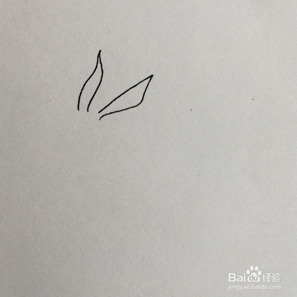 小毛驴儿童简笔画怎么画？