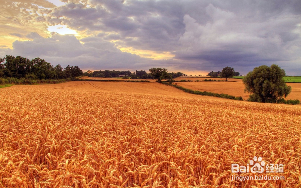 有人把我隐私上传怎么办
