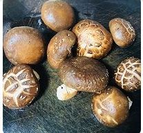 香菇素鲍鱼怎么做