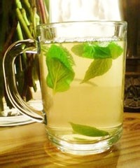 鱼腥草的功效和食用