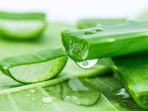 新鲜芦荟汁有什么功效