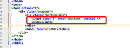 如何使用CSS美化复选框
