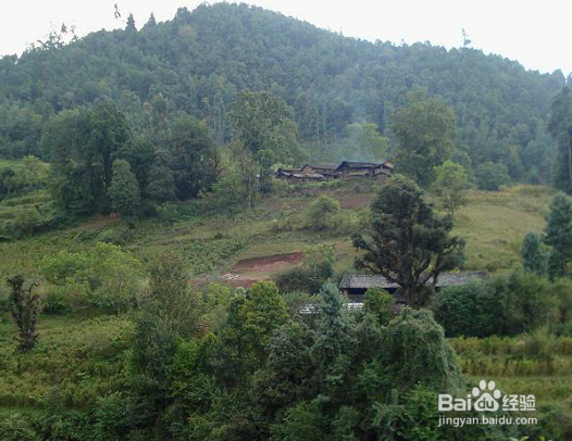 如何准备和应对第一书记访谈？问哪些问题？