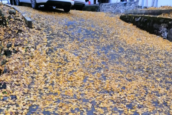 灵感来源于生活下一句