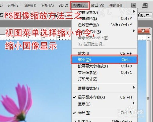 photoshop基础入门教程之ps缩放工具缩放图像