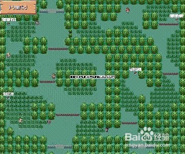 究极绿宝石攻略
