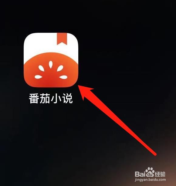 番茄小说怎样查看阅读偏好