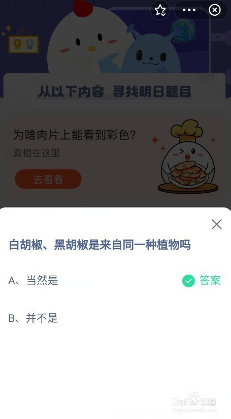 白胡椒黑胡椒来自同一种植物