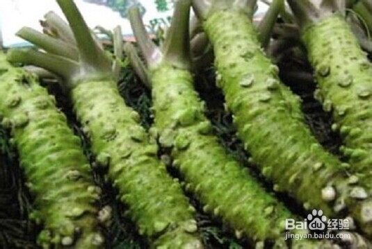 对女人有益的五种怪味食物